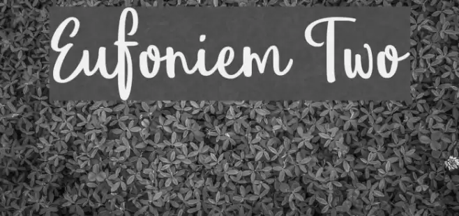Eufoniem Two Font examples