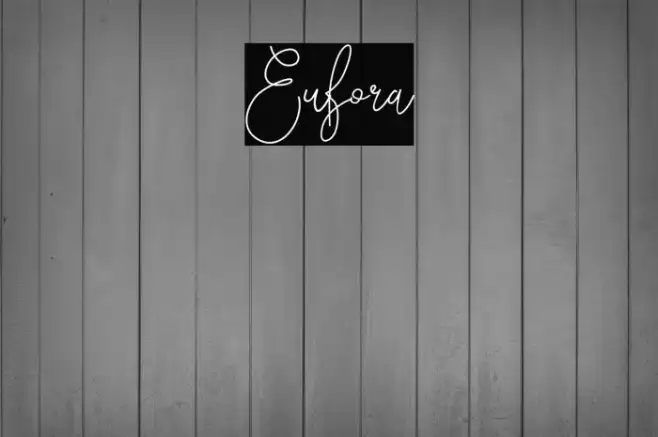 Eufora Example 2