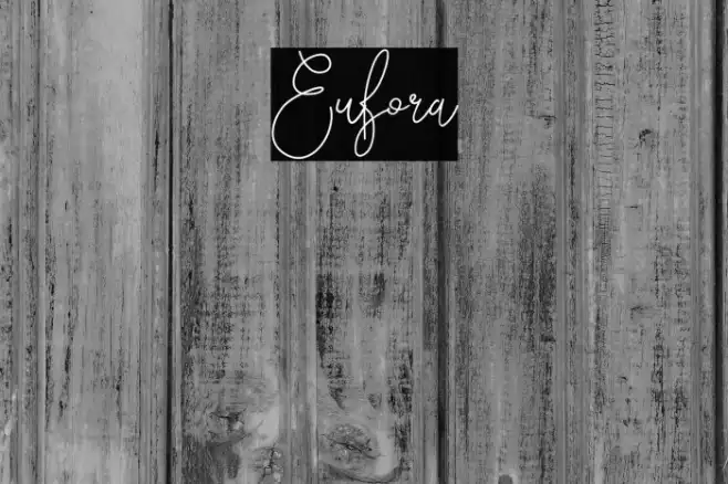 Eufora Example 3