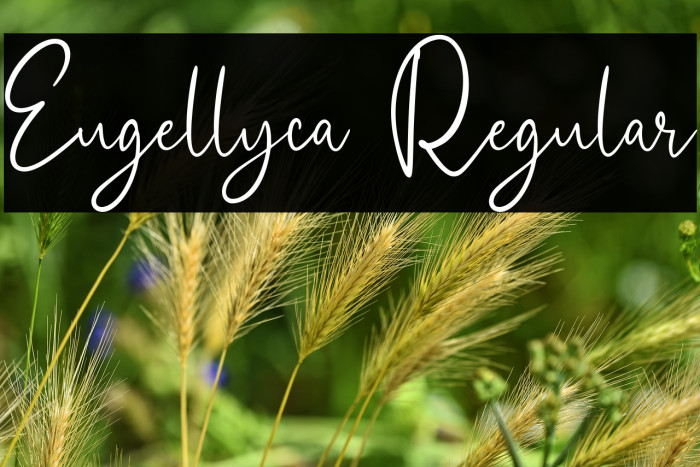 Eugellyca Regular Example 2