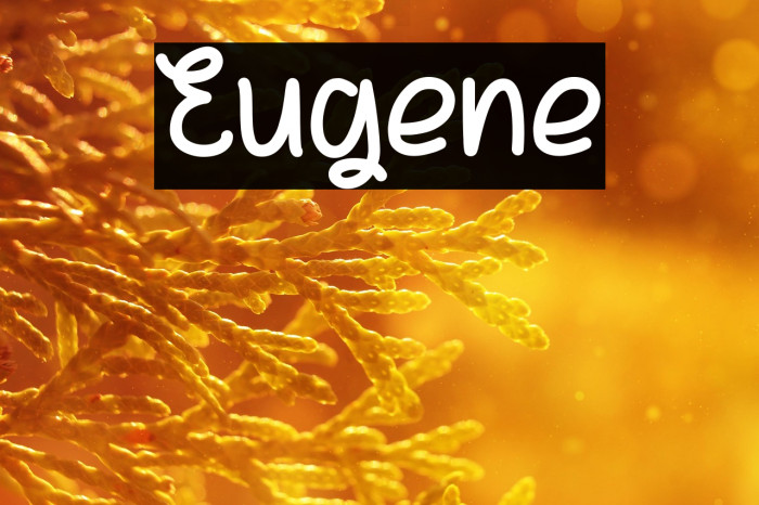 Eugene Example 3