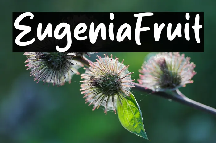 Eugenia Fruit Example 3