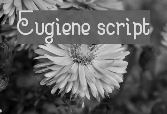 Eugiene script Font examples