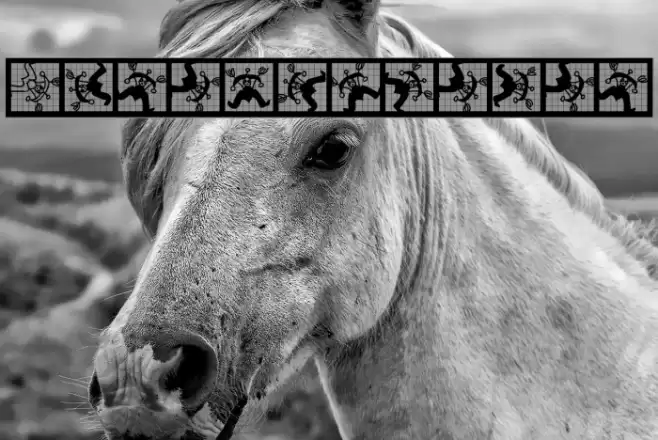 Eulenspiegel Font examples