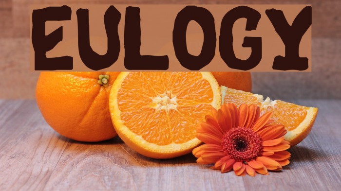 Eulogy Font examples