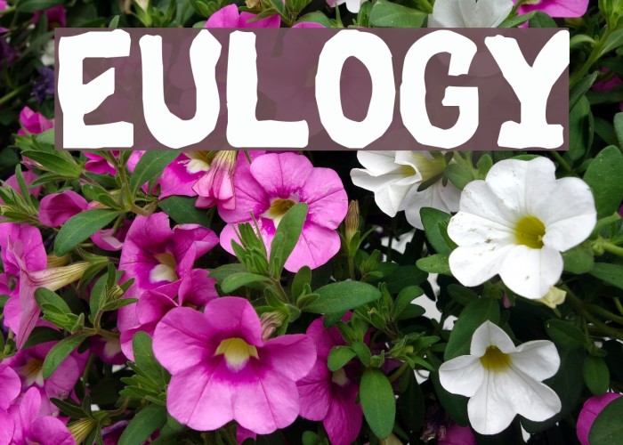 Eulogy Font examples