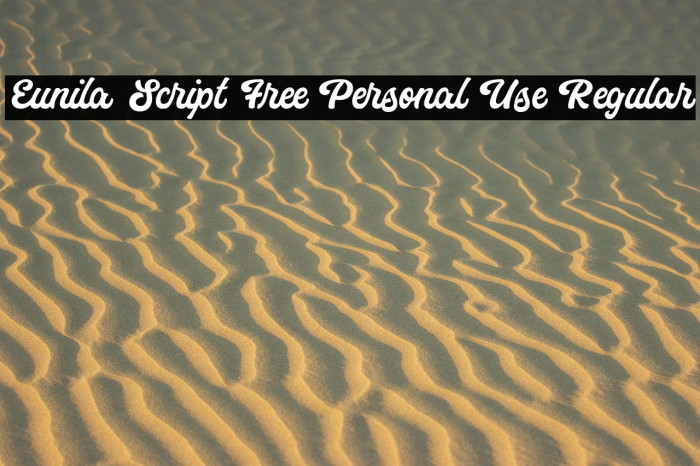 Eunila Script Free Personal Use Regular Example 3