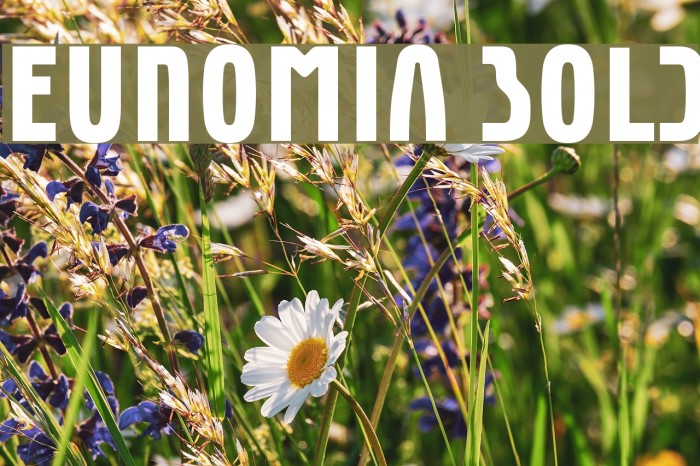 Eunomia Bold Font examples