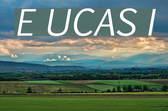 Euphemia UCAS Italic Font examples