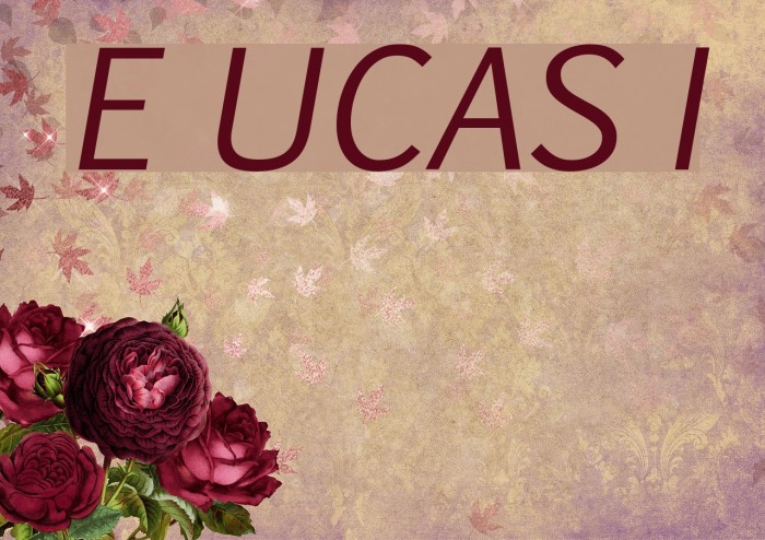 Euphemia UCAS Italic Font examples