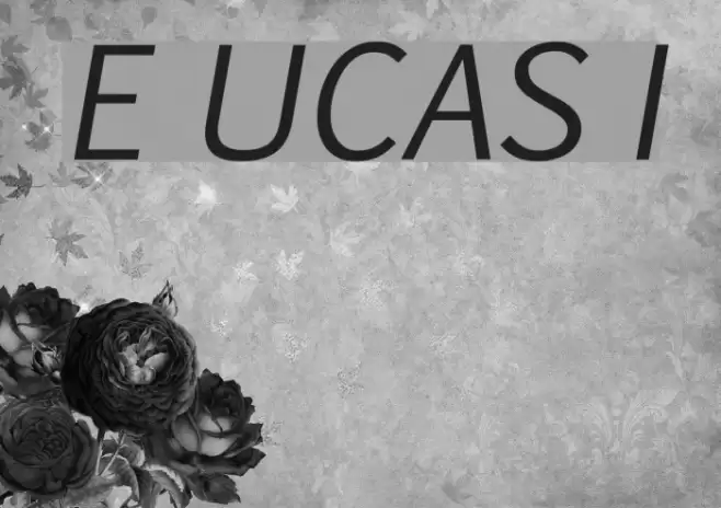 Euphemia UCAS Italic  examples