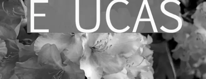 Euphemia UCAS Schriftart examples