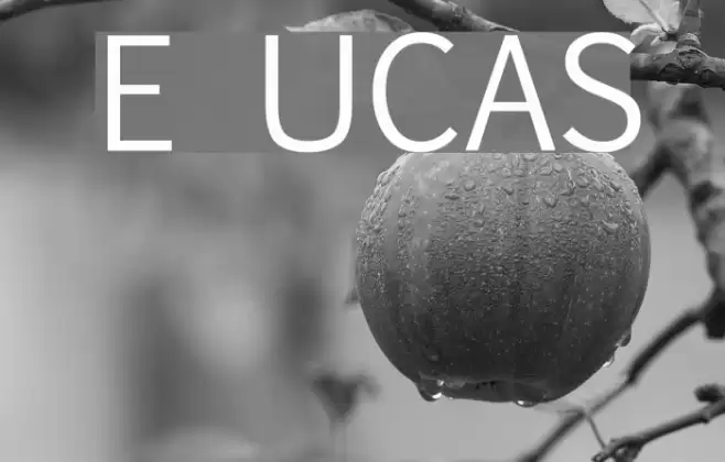 Euphemia UCAS Schriftart examples