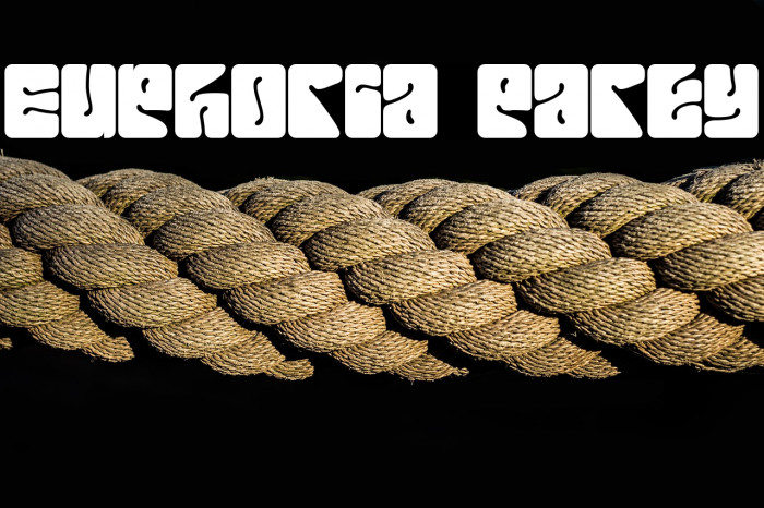 Euphoria Party Example 1