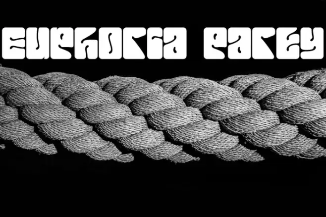 Euphoria Party Example 1