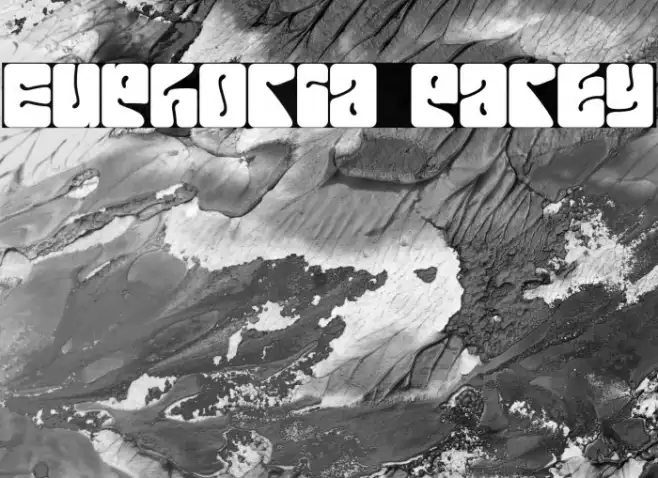 Euphoria Party Example 2