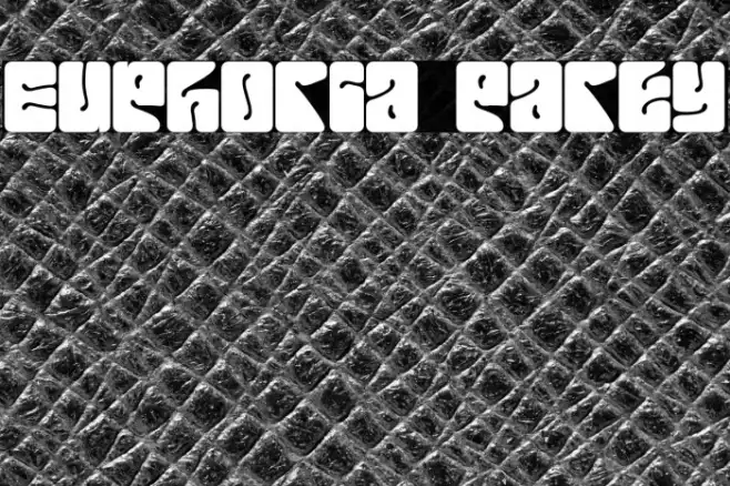 Euphoria Party Example 3