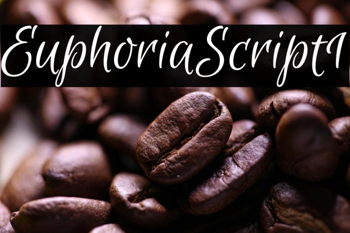 Euphoria Script1 Example 3