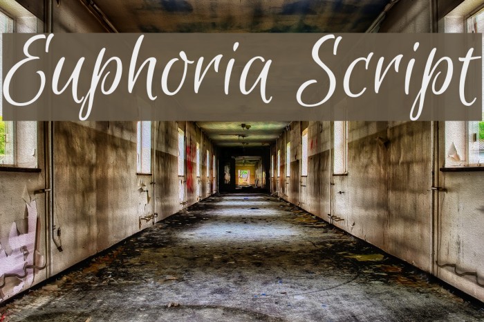 Euphoria Script Font examples