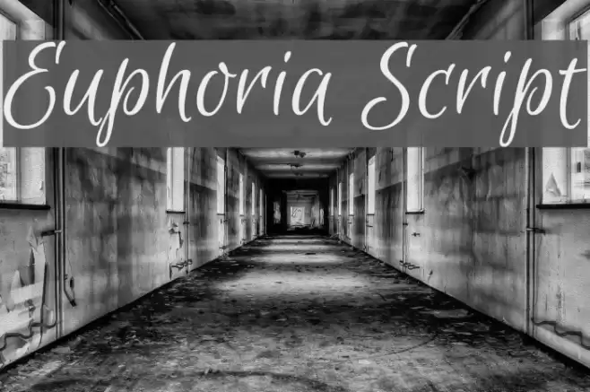 Euphoria Script Fonte examples
