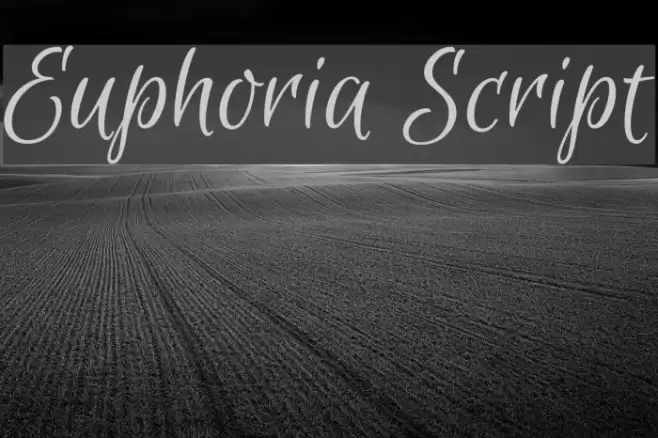 Euphoria Script Fonte examples