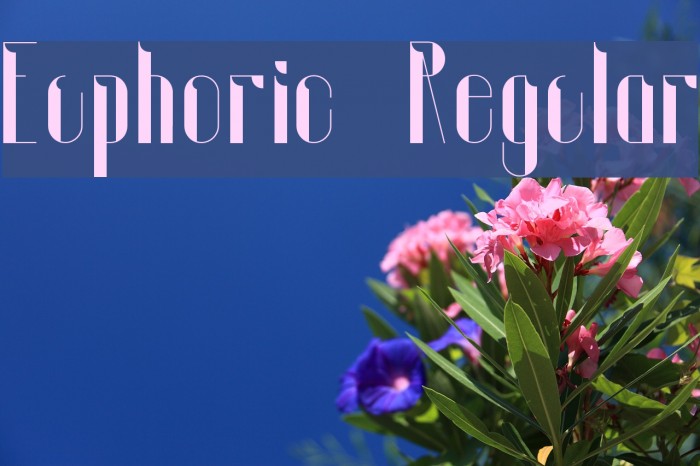 Euphoric Regular Font examples
