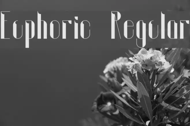 Euphoric Regular Example 2