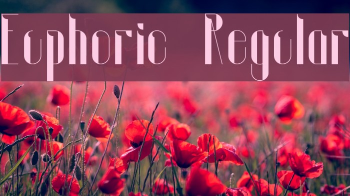 Euphoric Regular Font examples
