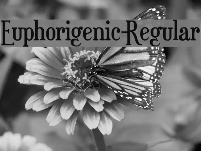 Euphorigenic-Regular Font examples