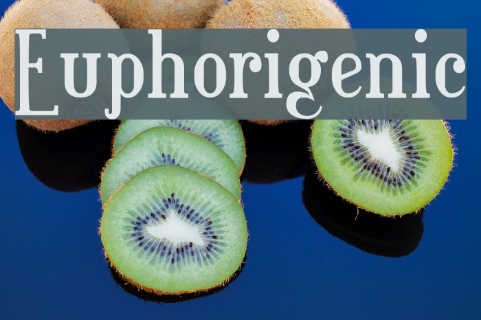 Euphorigenic Font examples