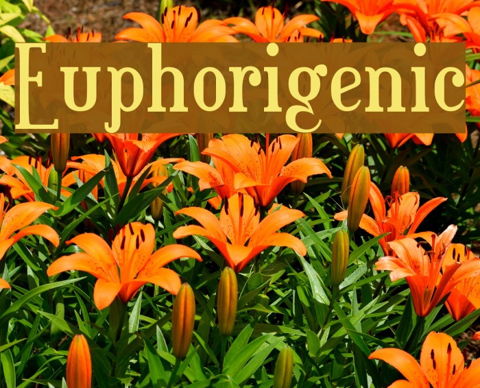 Euphorigenic Font examples