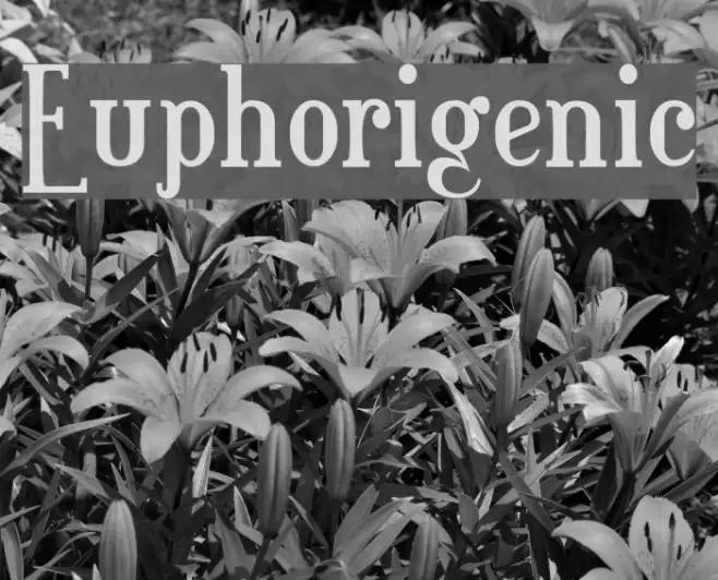 Euphorigenic Example 3