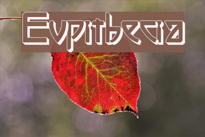 Eupithecia Font examples