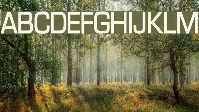 Eurasia Bold Font examples