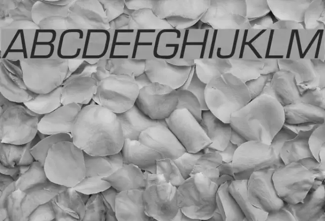 Eurasia Italic Font examples