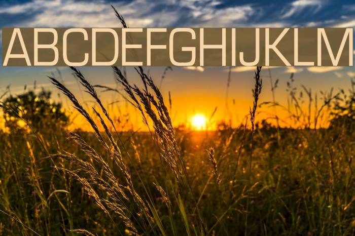 Eurasia Normal Font examples