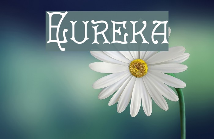 Eureka Font examples