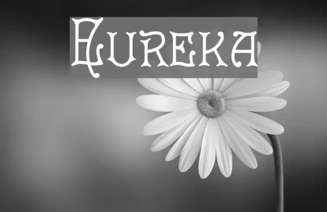 Eureka Example 3