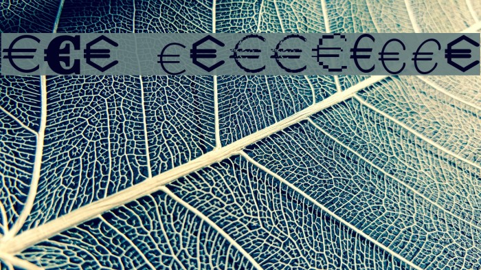 Euro Collection Example 2