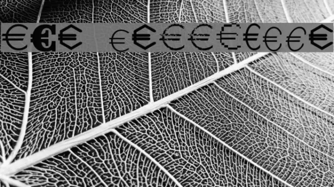 Euro Collection Font examples