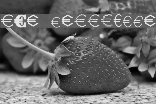 Euro Collection Font examples