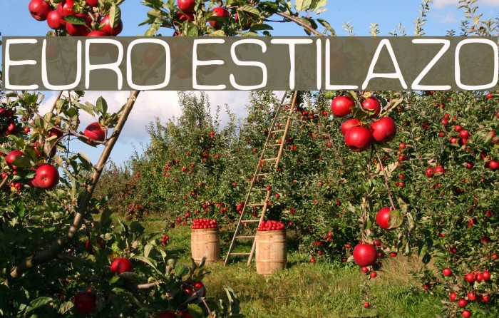 Euro Estilazo Font examples