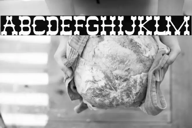 Euro Western Font examples