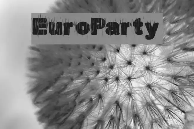 EuroParty Example 1