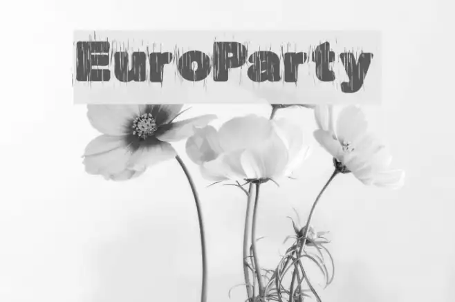 EuroParty Example 2