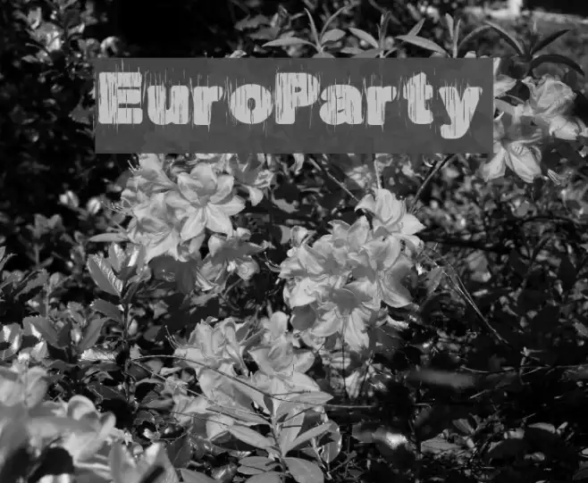 EuroParty Example 3