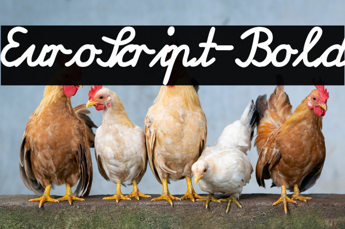 EuroScript-Bold Font examples