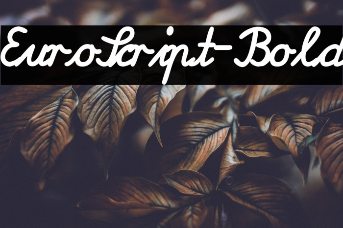 EuroScript-Bold Font examples
