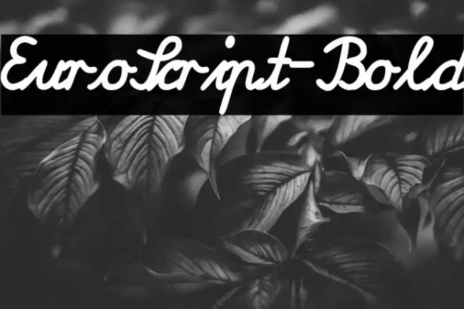 EuroScript-Bold Font examples