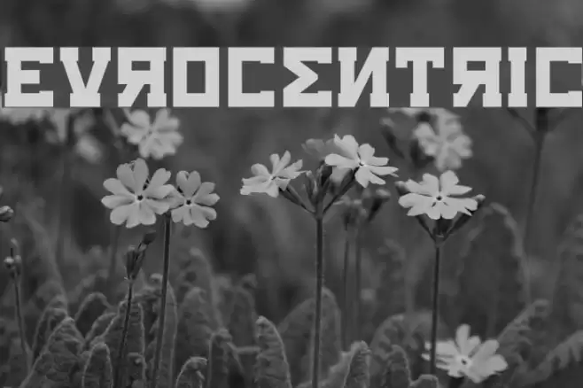 Eurocentric Font examples